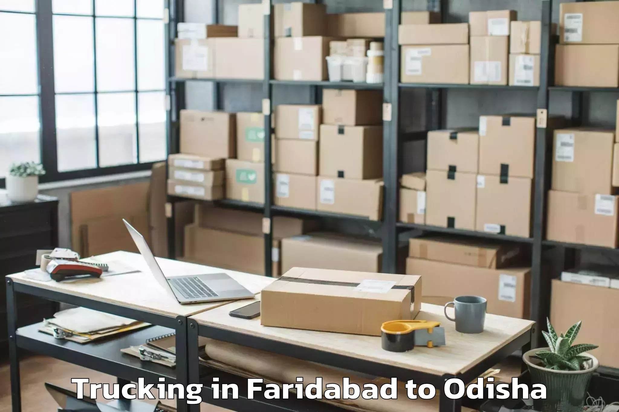 Book Faridabad to Binjharpur Trucking